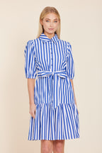 Belted Stripe Dress