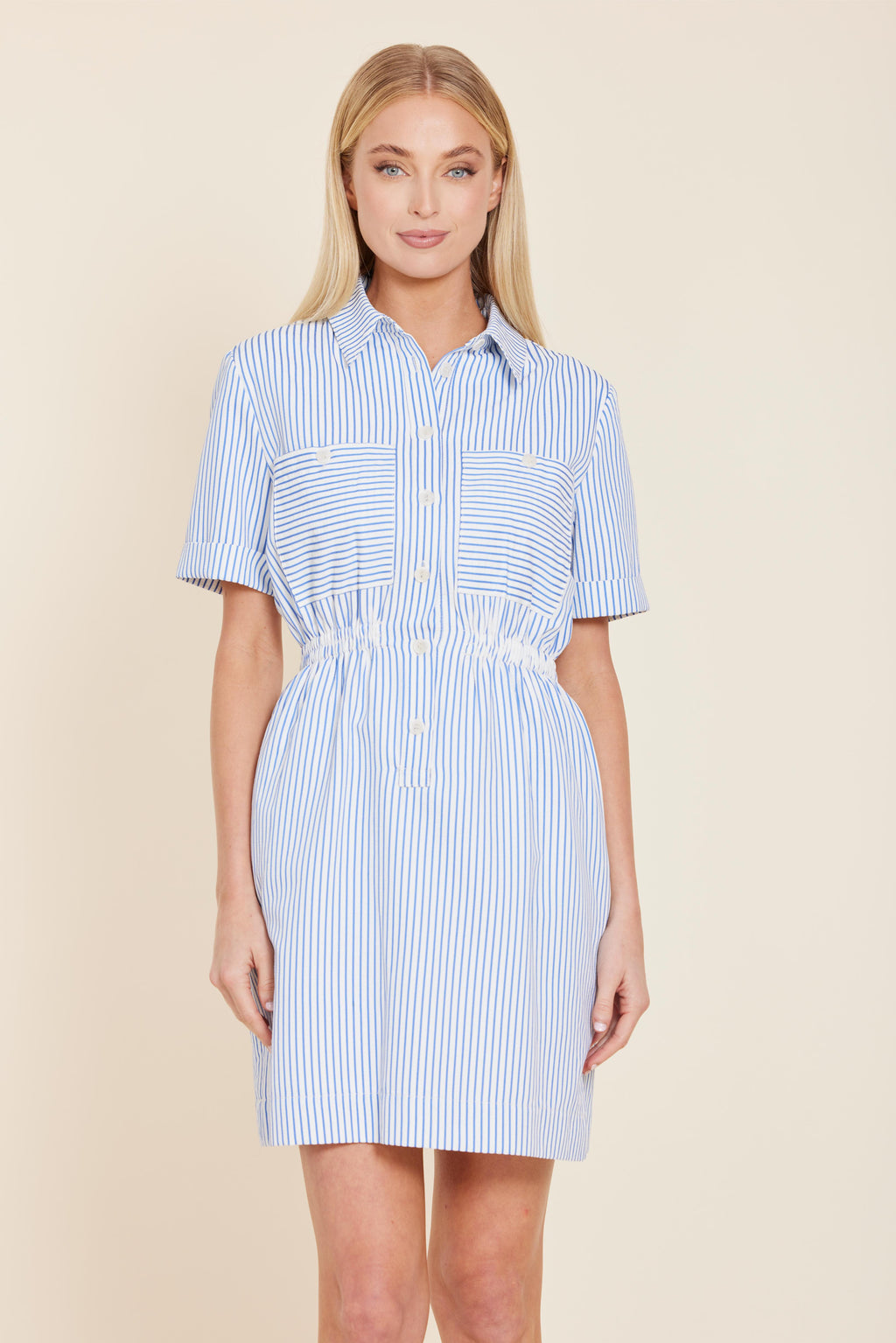 Seersucker Elastic Waist Dress