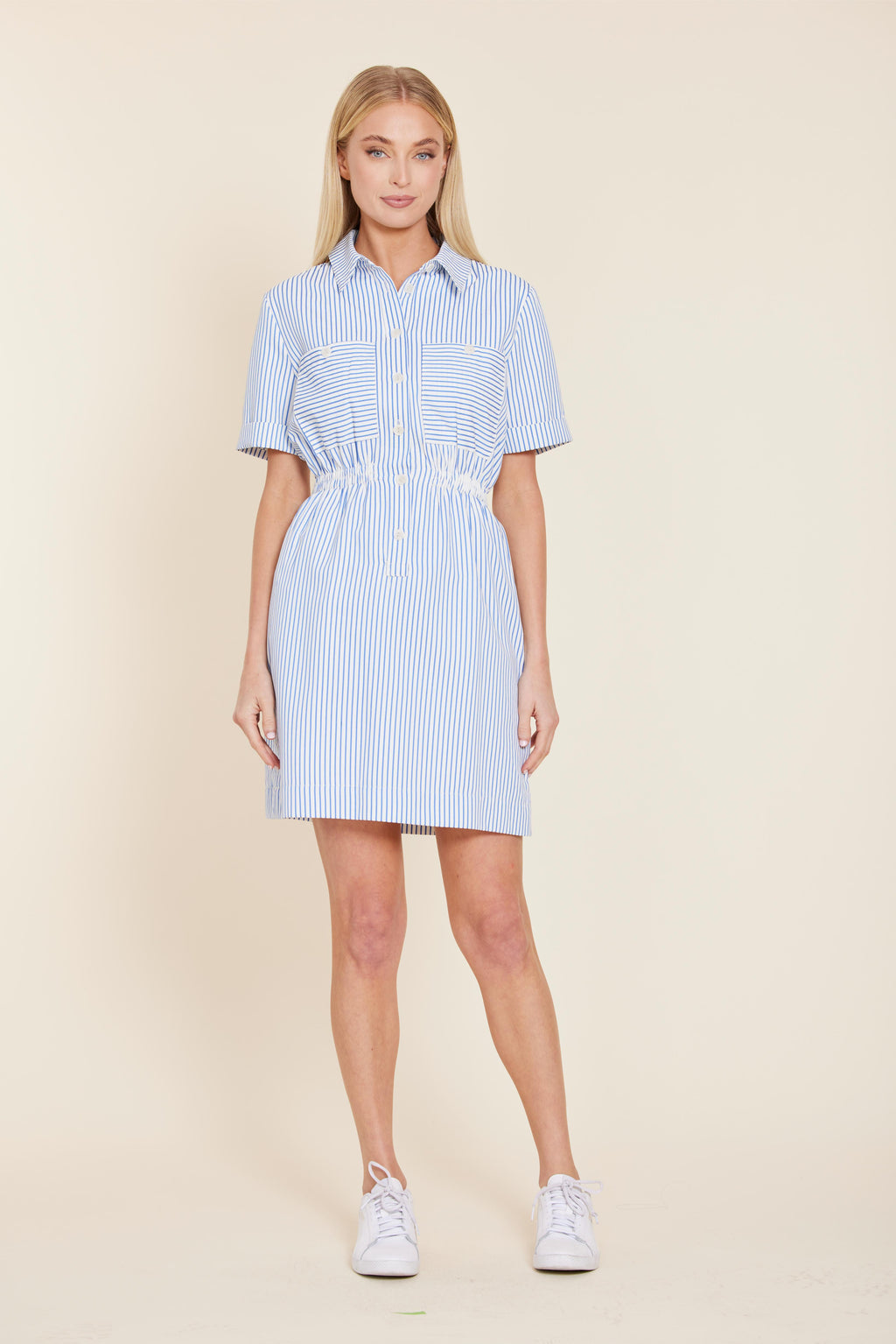 Seersucker Elastic Waist Dress