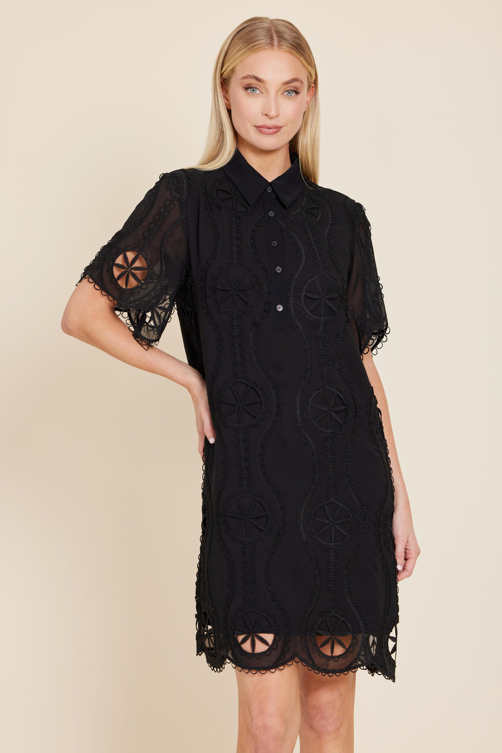 Crepe Embroidered Sheer Shirt Dress