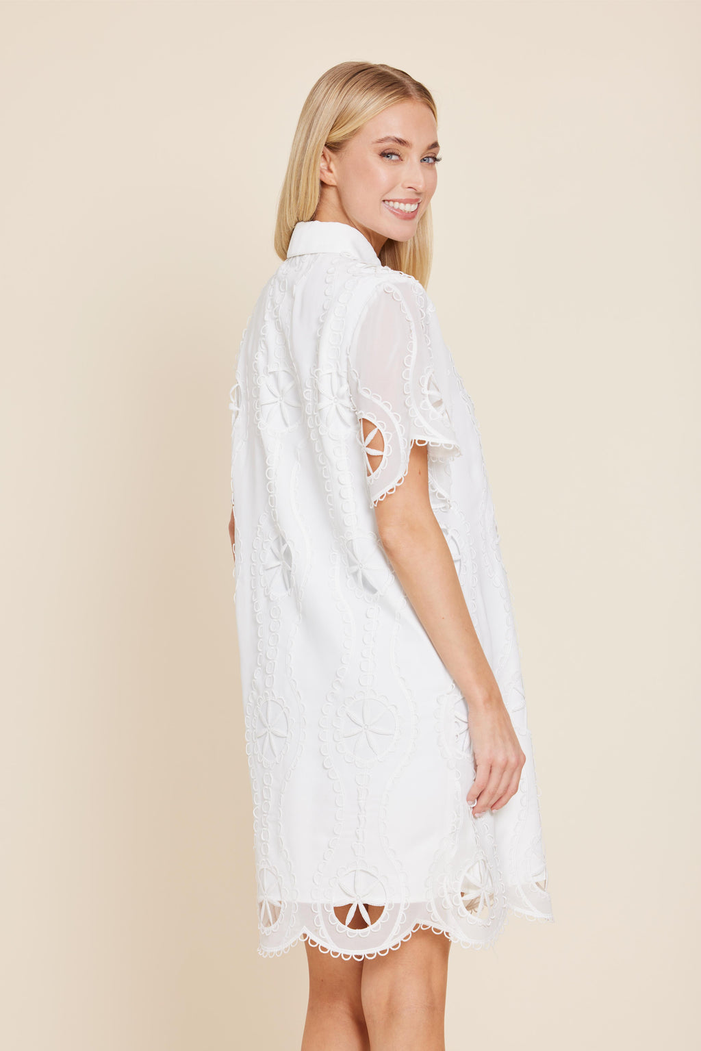 Crepe Embroidered Sheer Shirt Dress