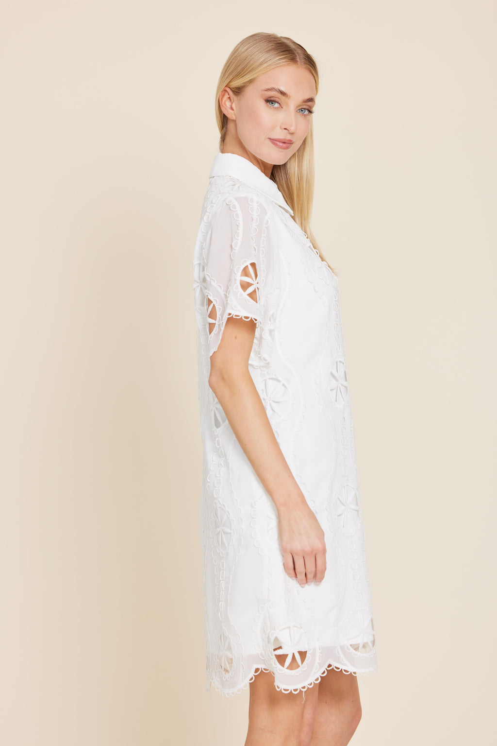 Crepe Embroidered Sheer Shirt Dress