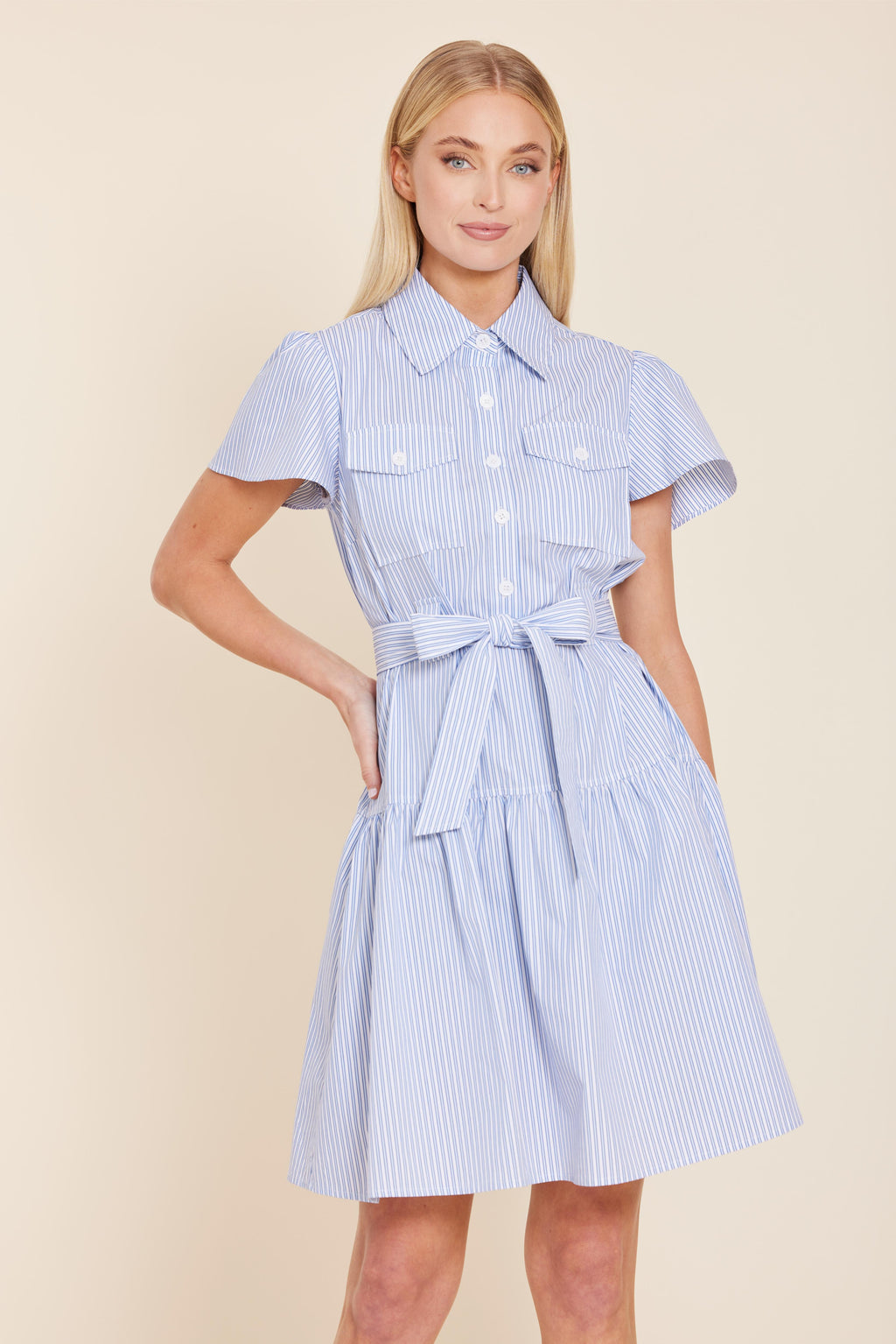 Stripe Belted Dress