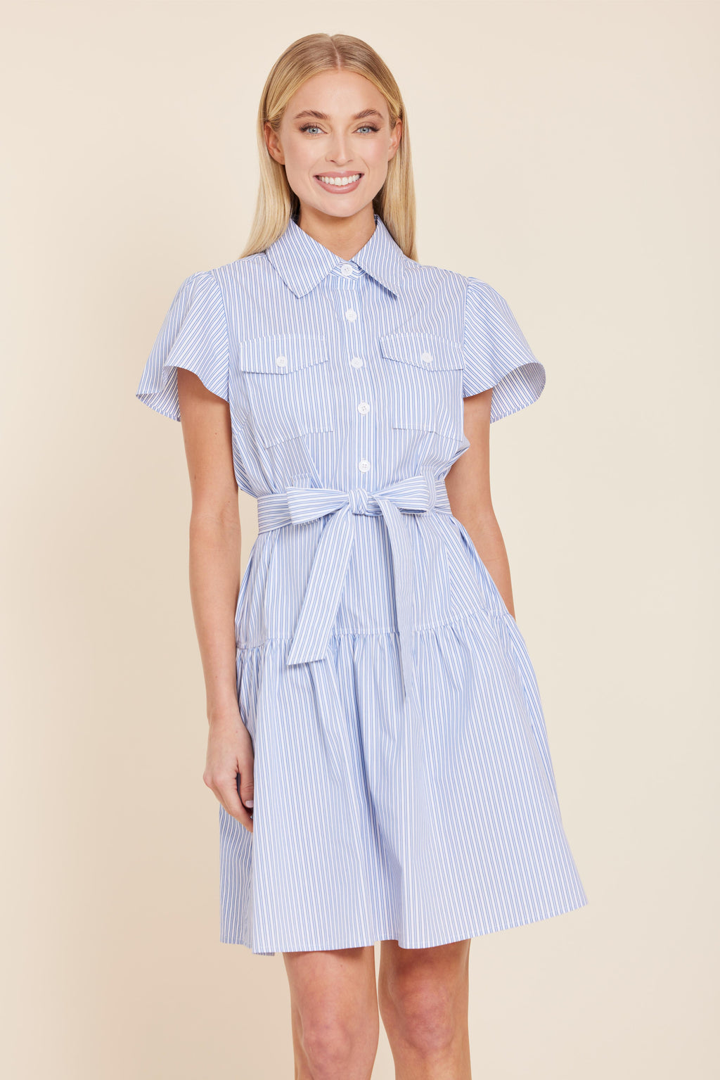 Stripe Belted Dress