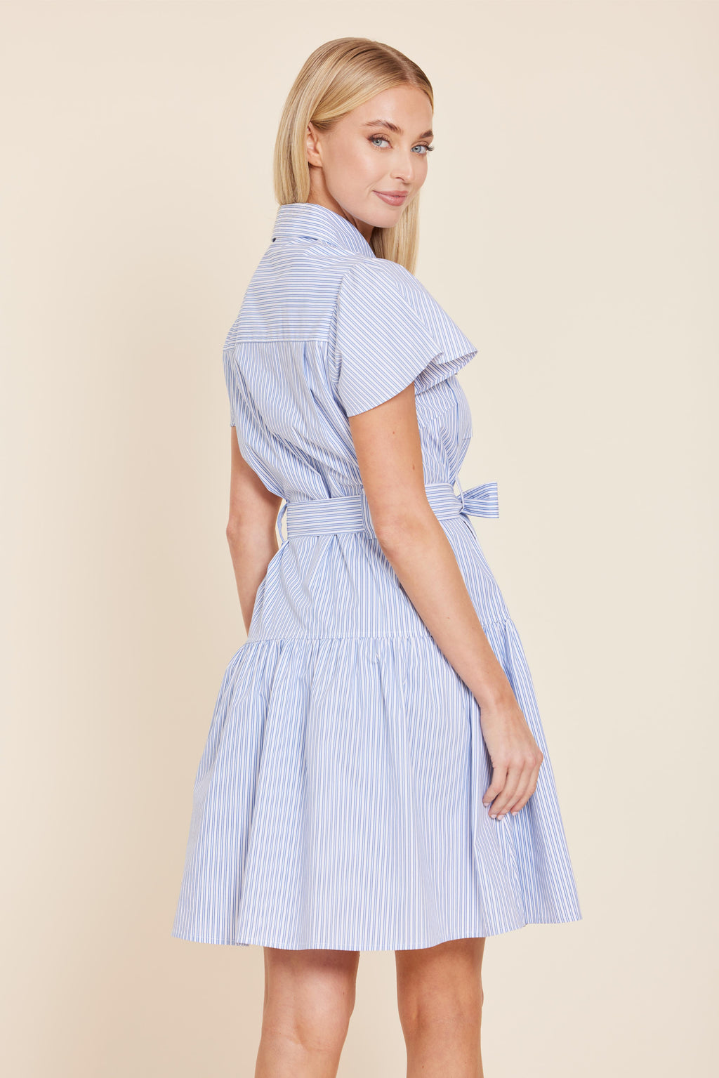 Stripe Belted Dress