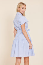 Stripe Belted Dress