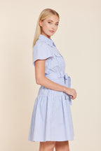 Stripe Belted Dress