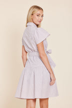 Stripe Belted Dress
