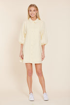 Linen Exagerrated Sleeve Dress