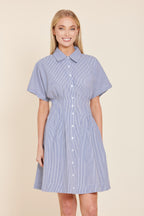 Stripe Dart Waist Dress