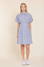 Stripe Dart Waist Dress