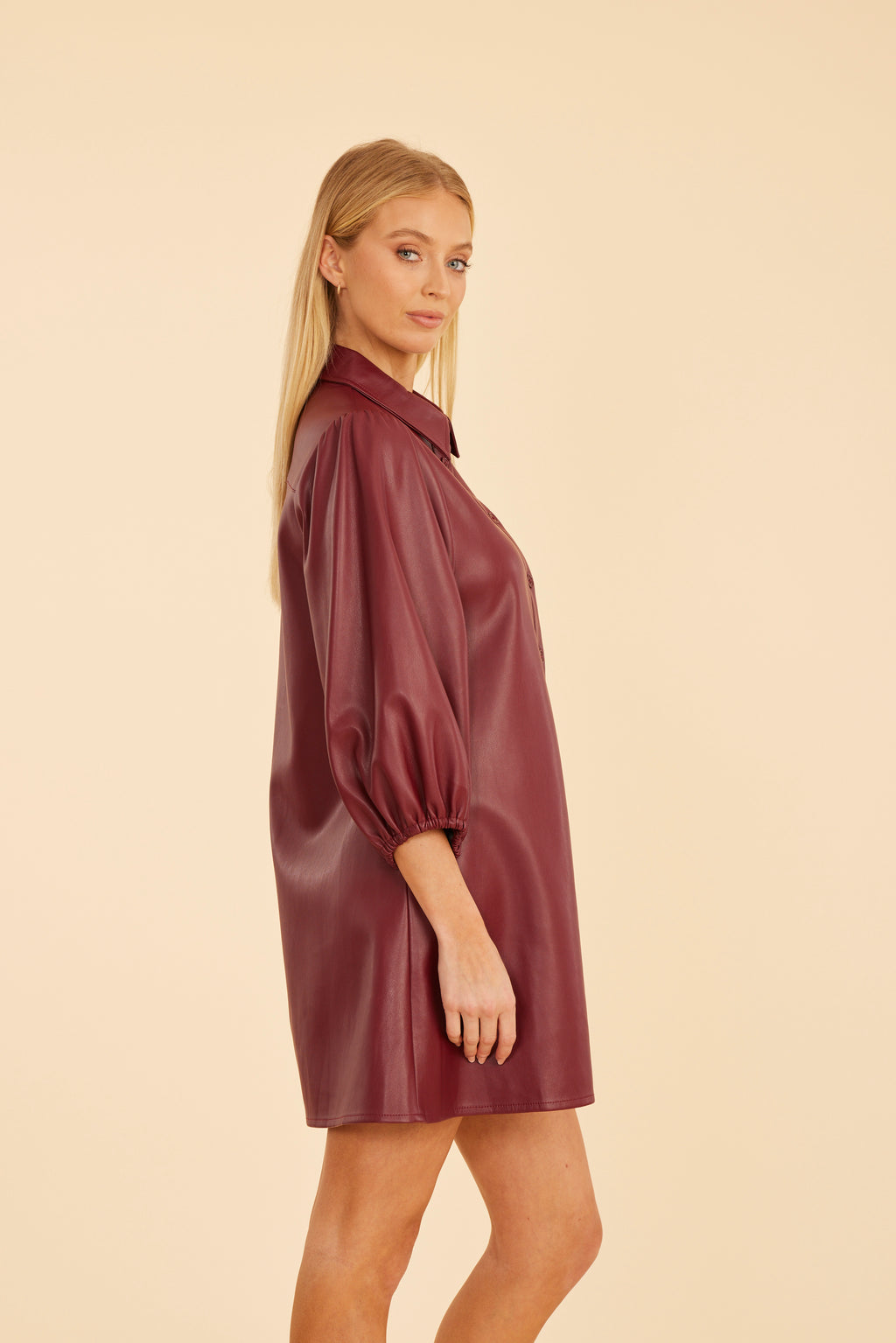 Faux Leather Puff Sleeve Dress
