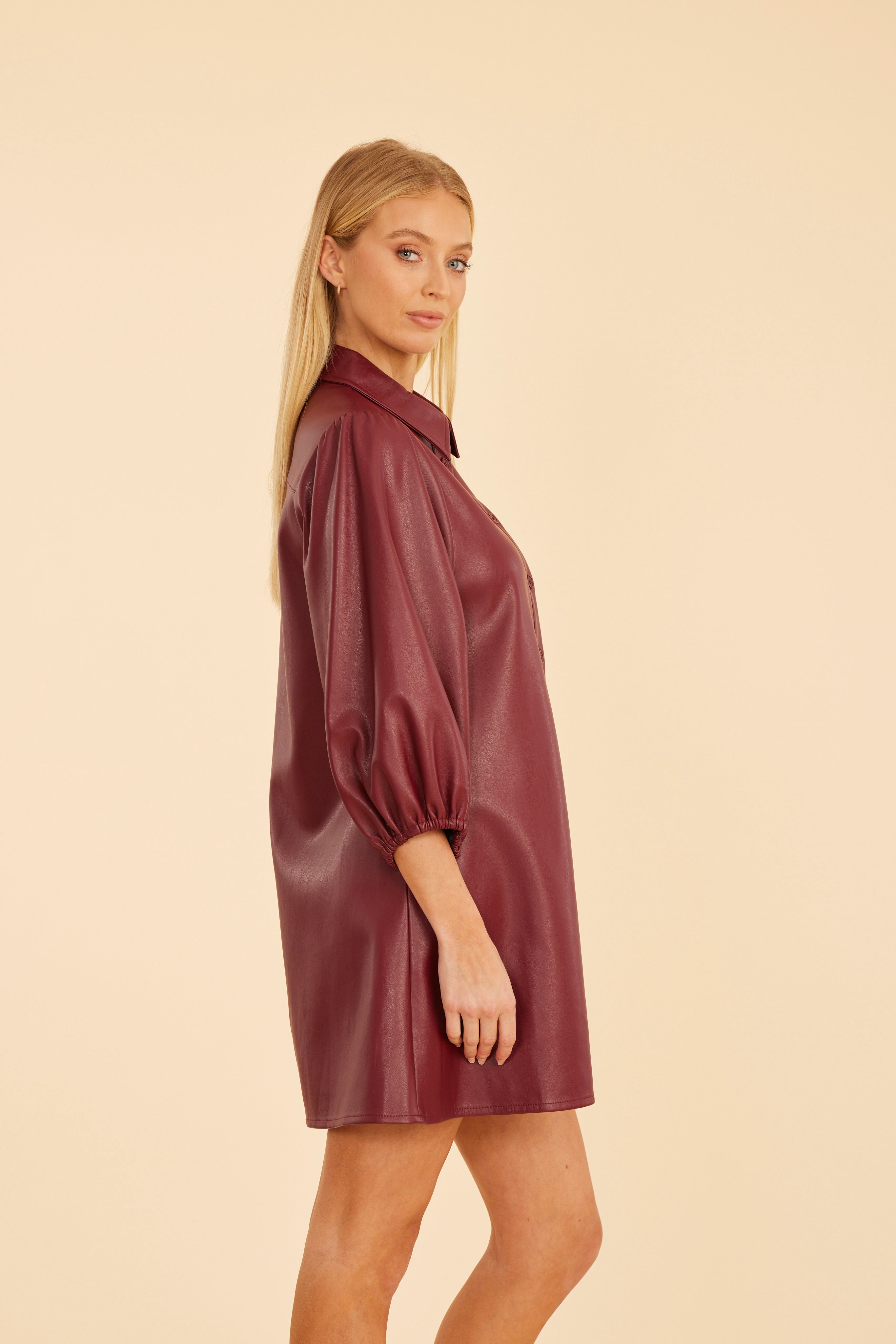 Faux Leather Puff Sleeve Dress