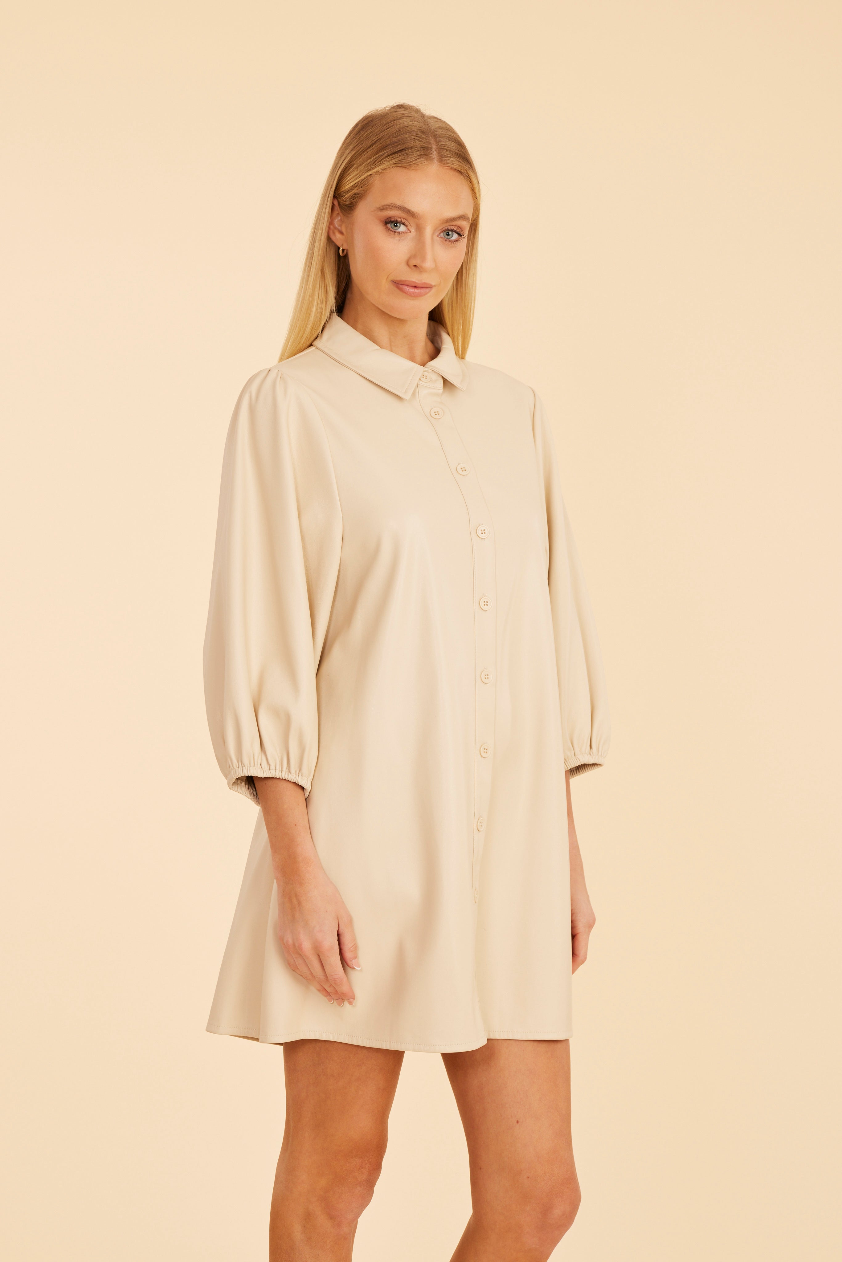Classic Faux Leather Dress with Puff Sleeves