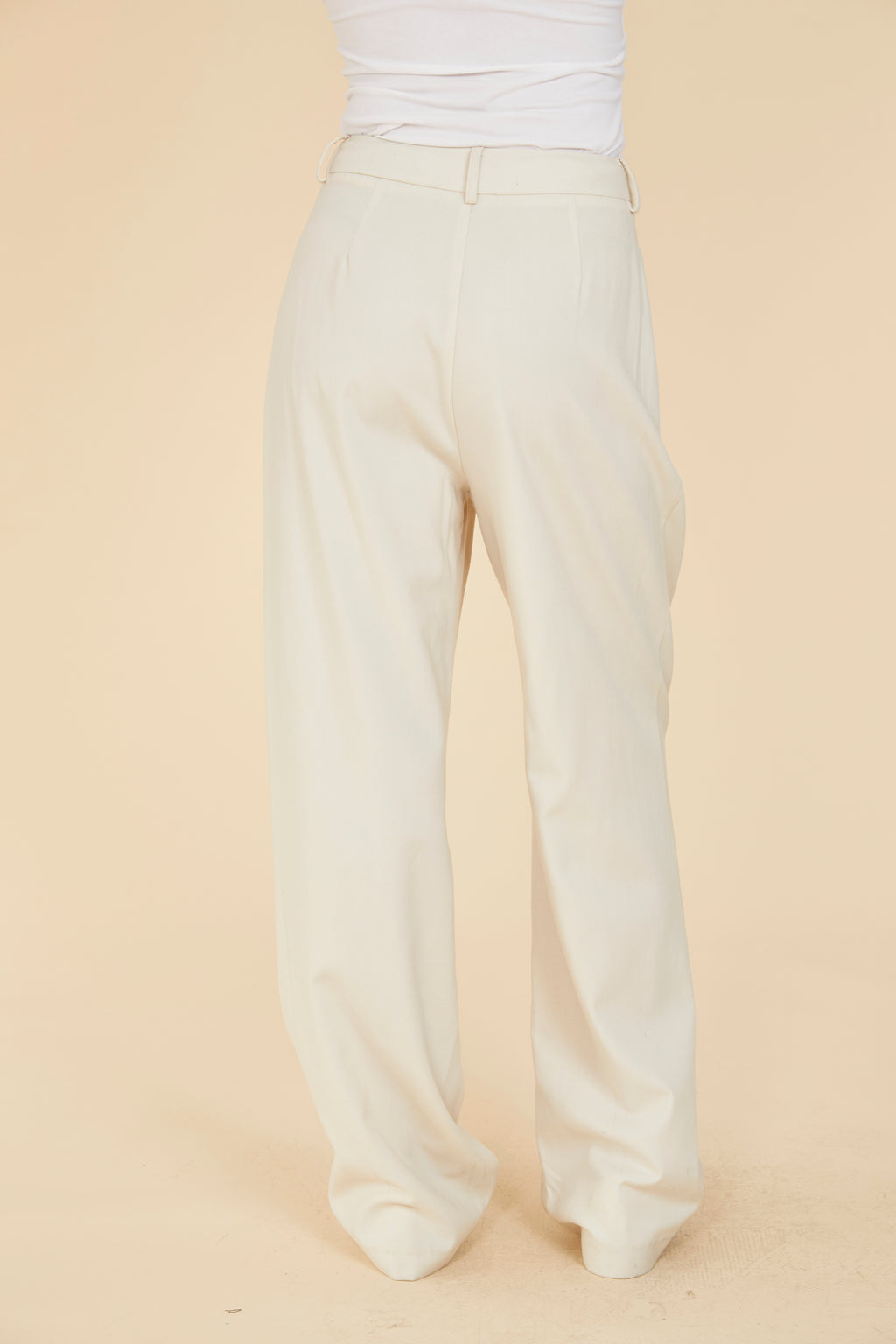 Pleated Wide Leg Pants