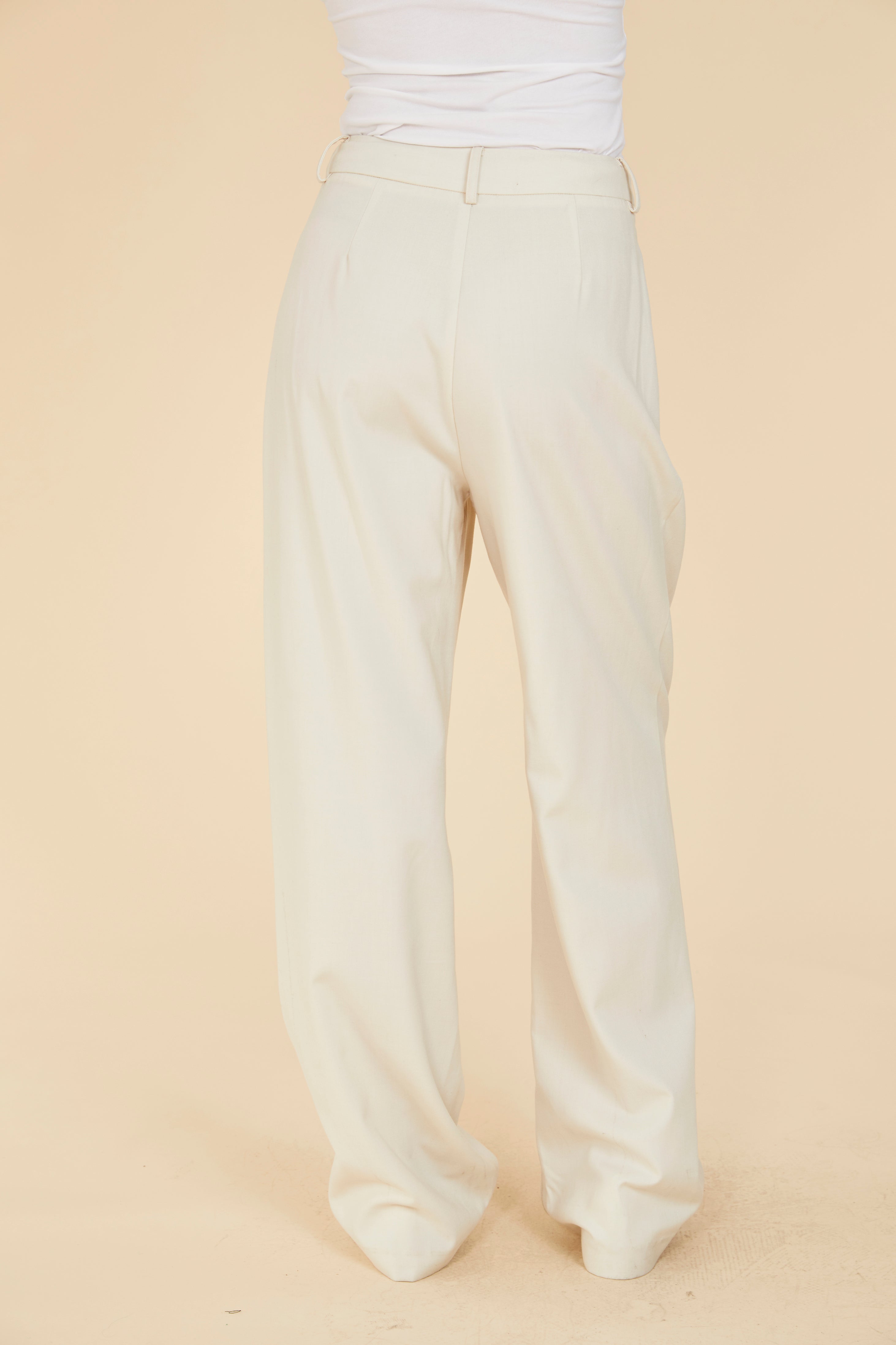 Pleated Wide Leg Pants