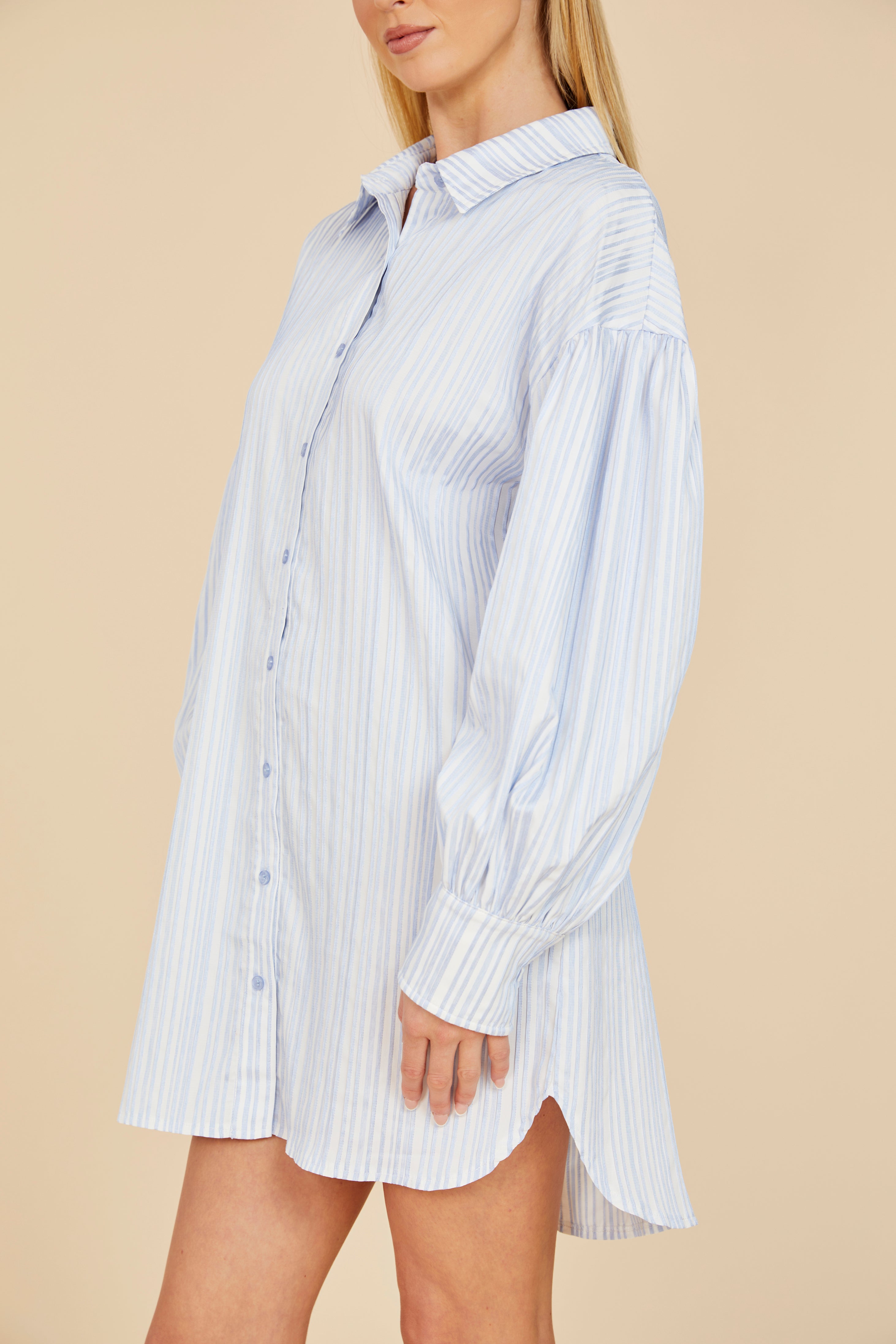 Striped Balloon Sleeve Shirt Dress Blue/White / S