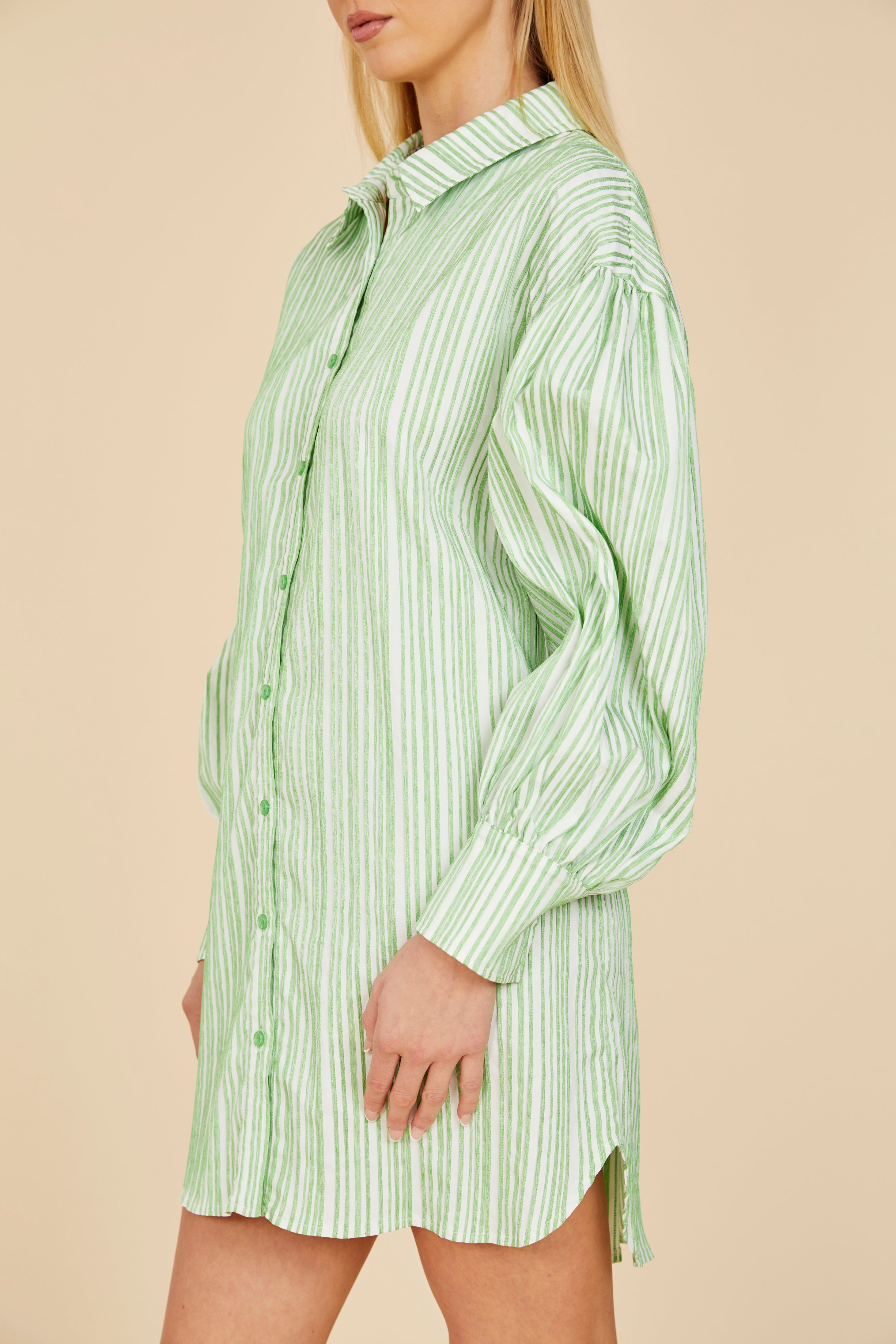 Striped Balloon Sleeve Shirt Dress Blue/White / S