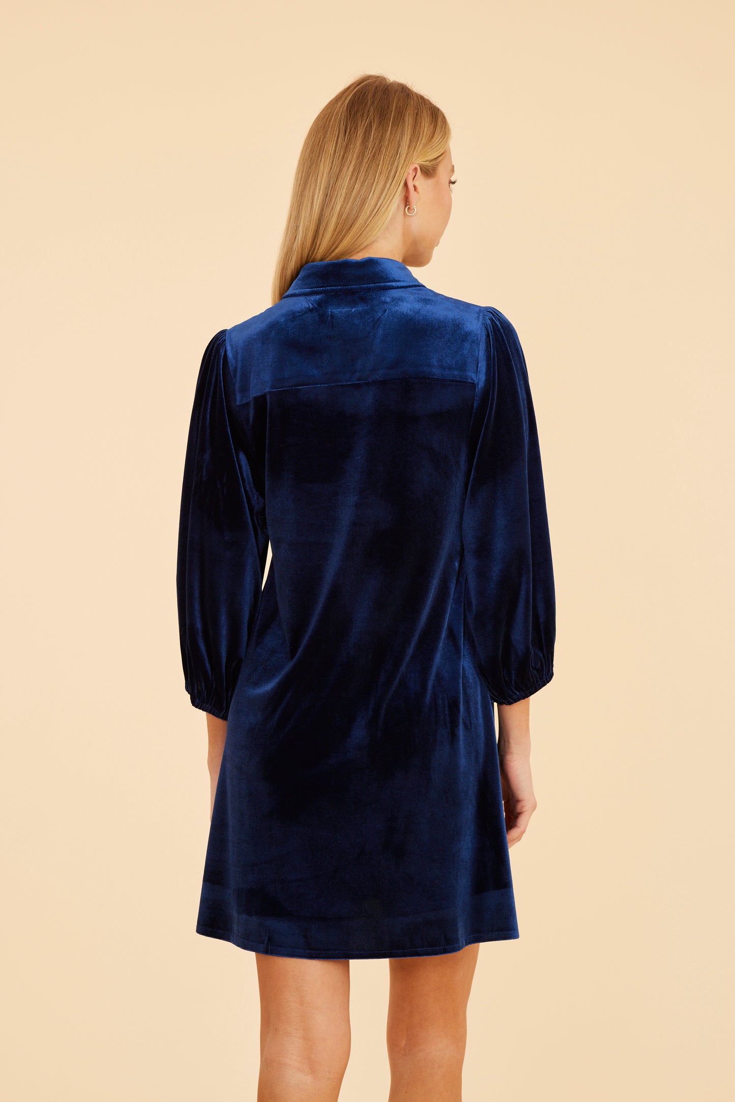 Velvet Puff Sleeve Dress