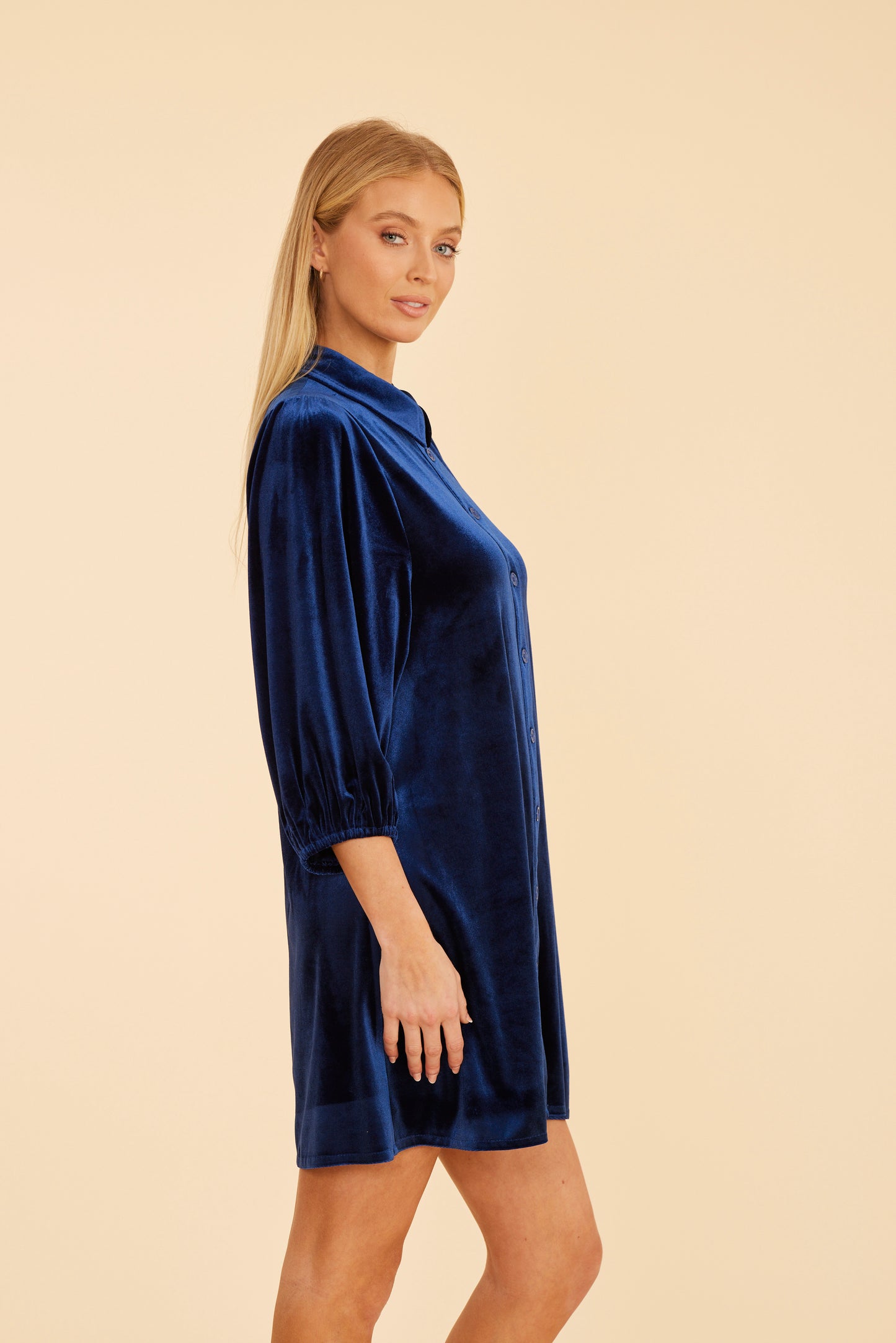 Velvet Puff Sleeve Dress