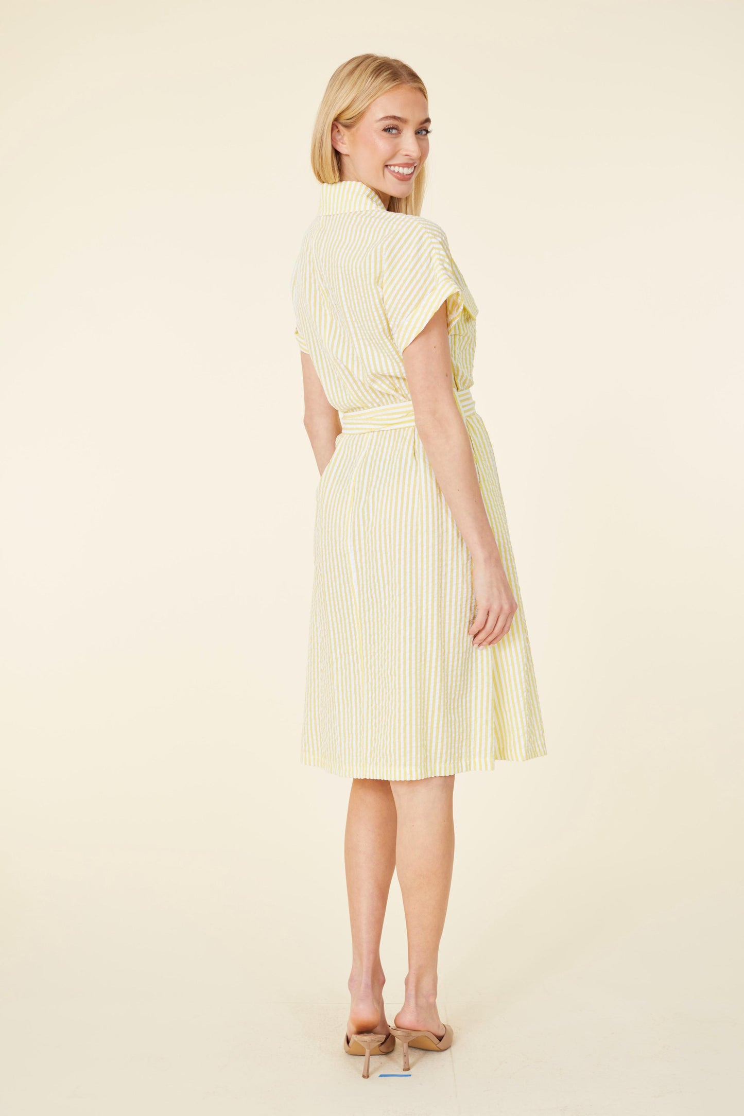 Striped Seer Sucker Belted Dress