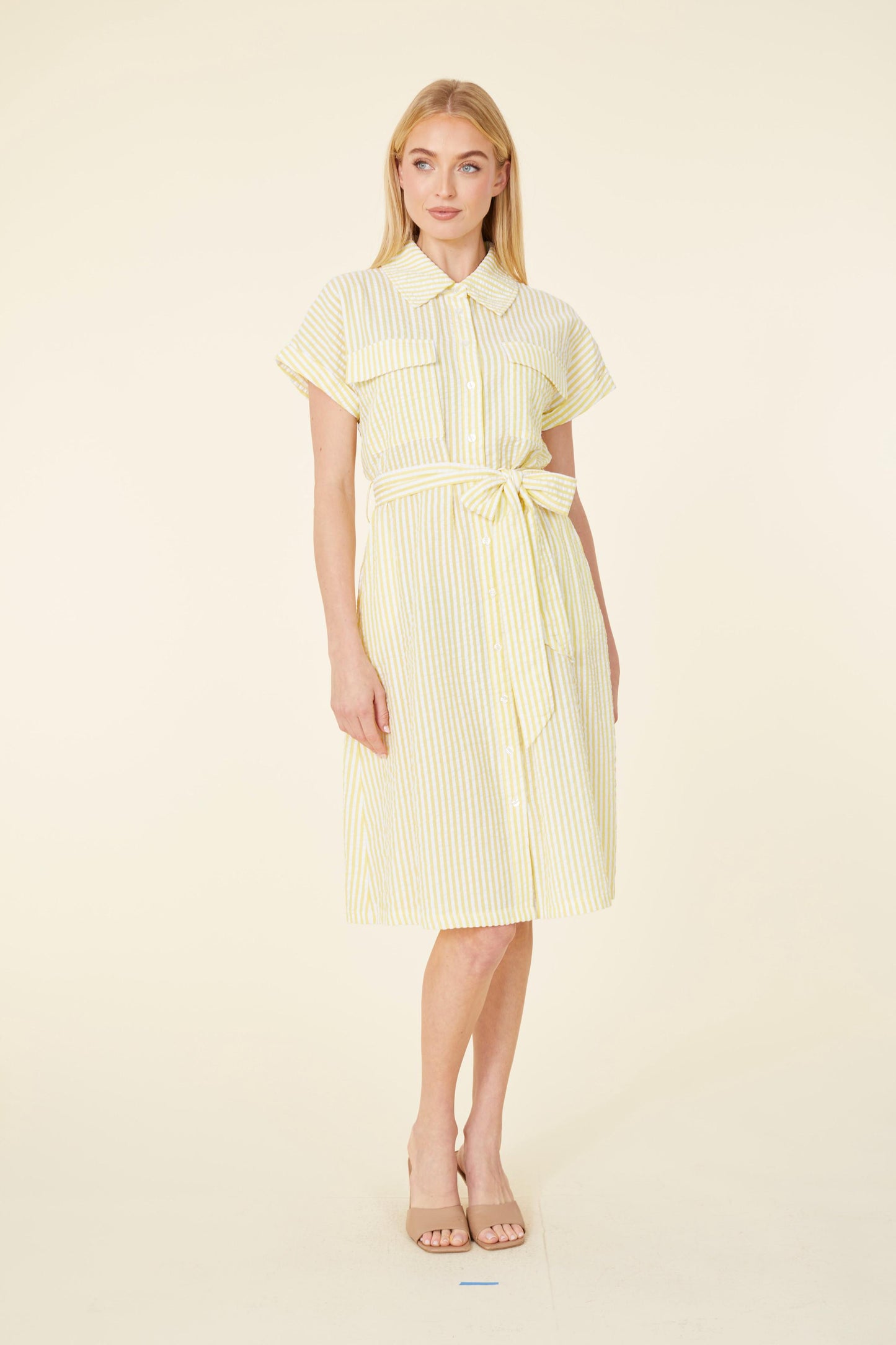 Striped Seer Sucker Belted Dress