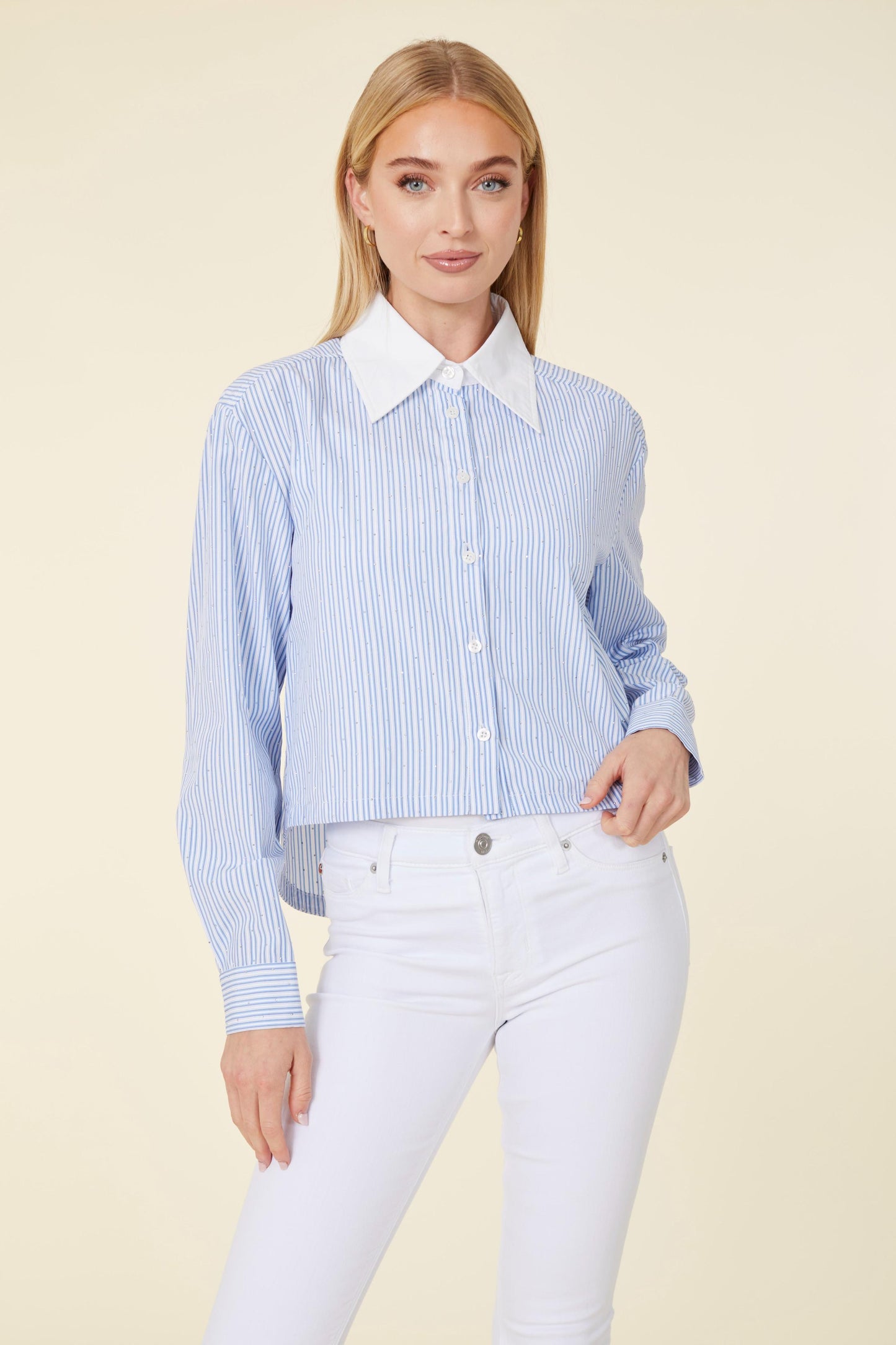 Micro Rhinestone Stripe Crop Blouse