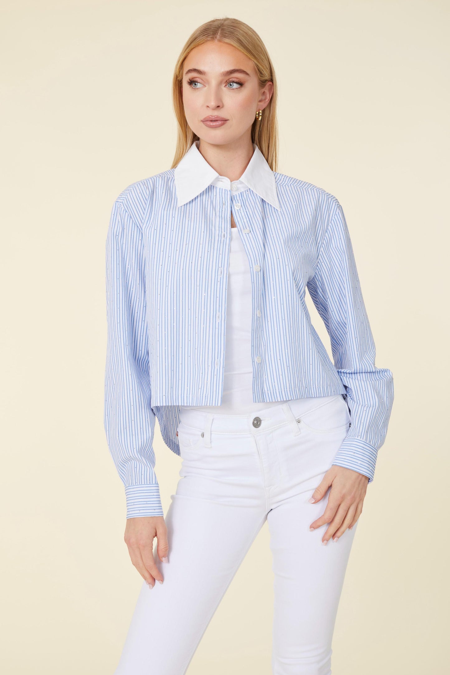 Micro Rhinestone Stripe Crop Blouse