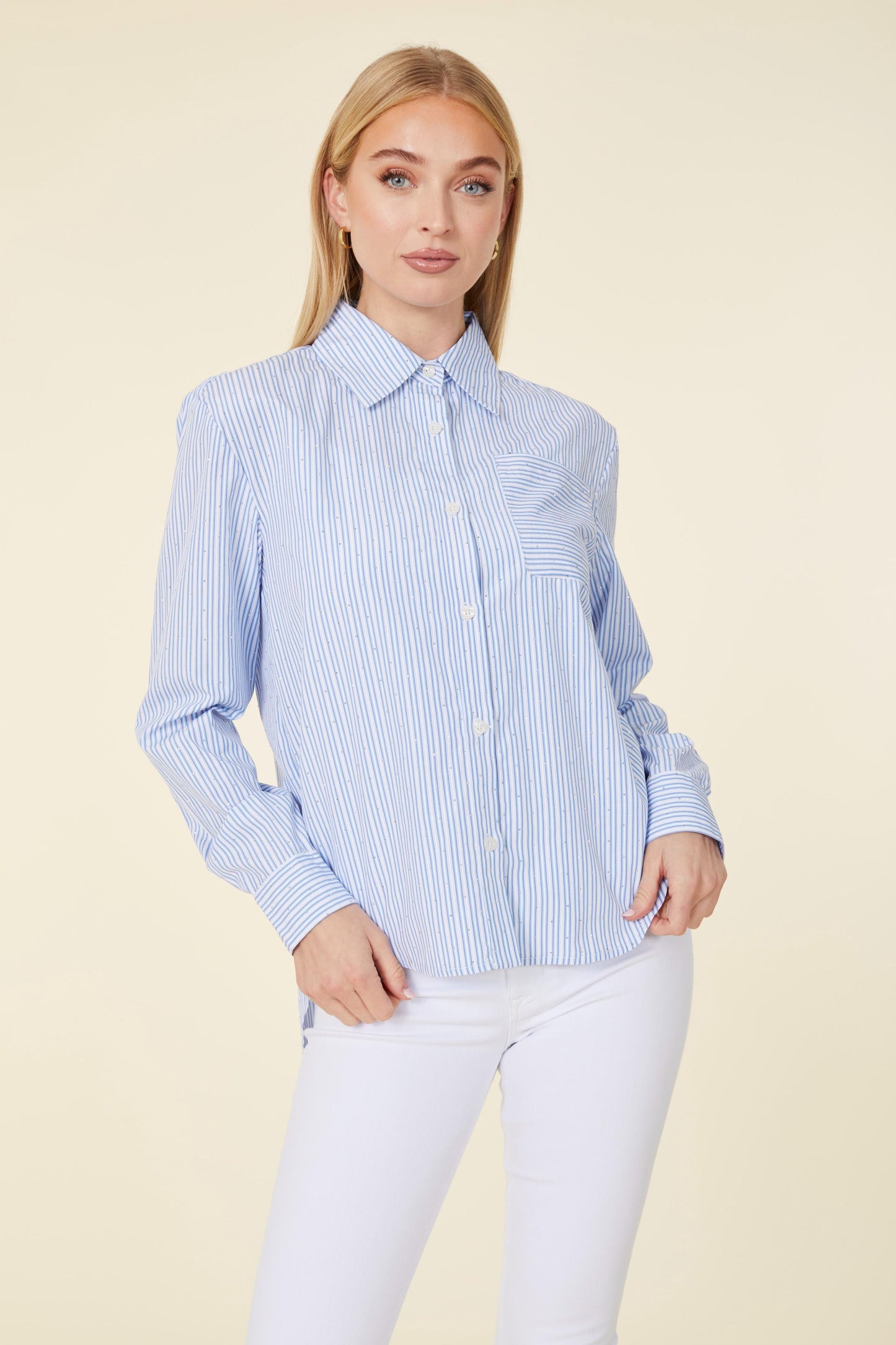 Micro Sequin Stripe Blouse