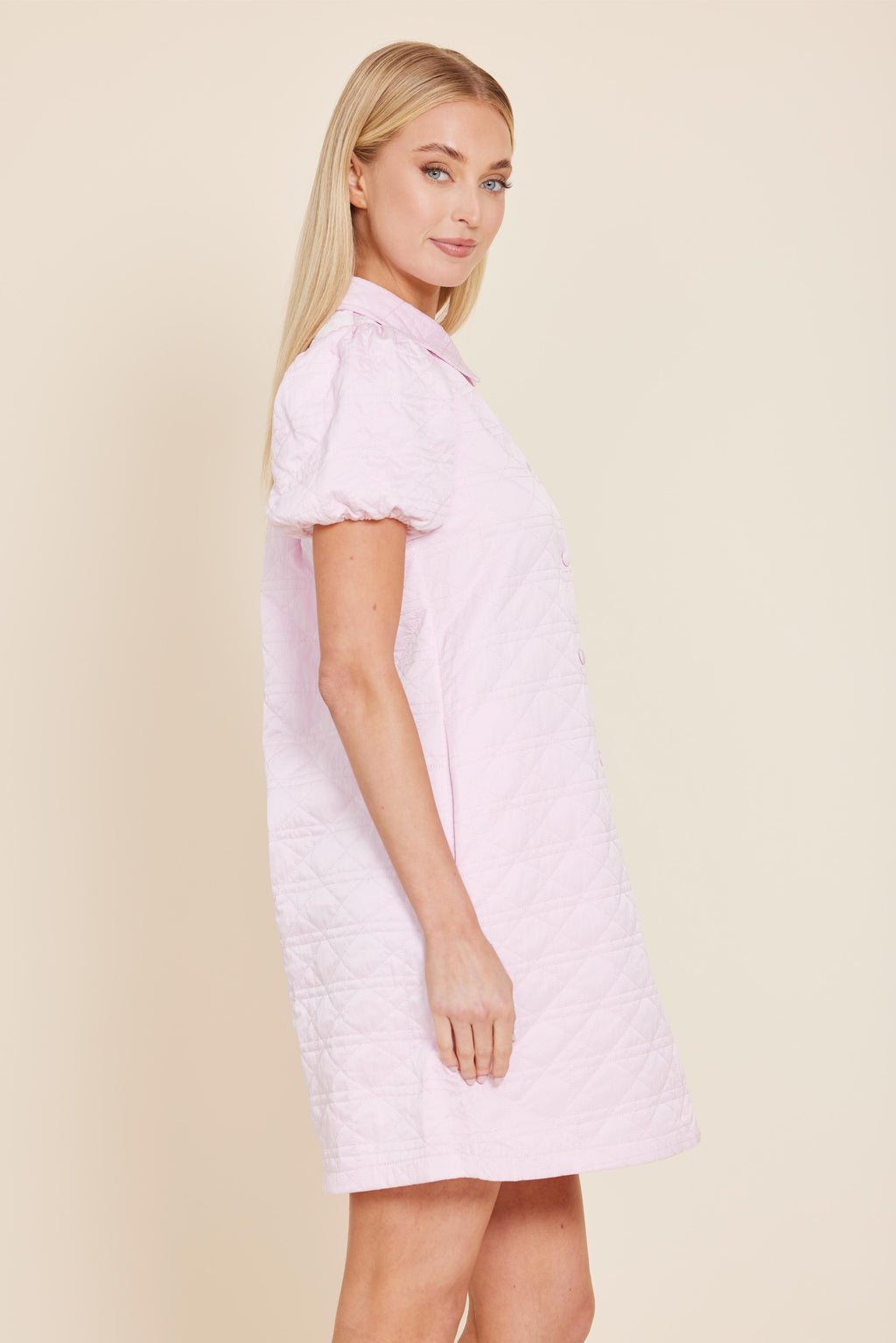 Nylon Quilted Collar Dress