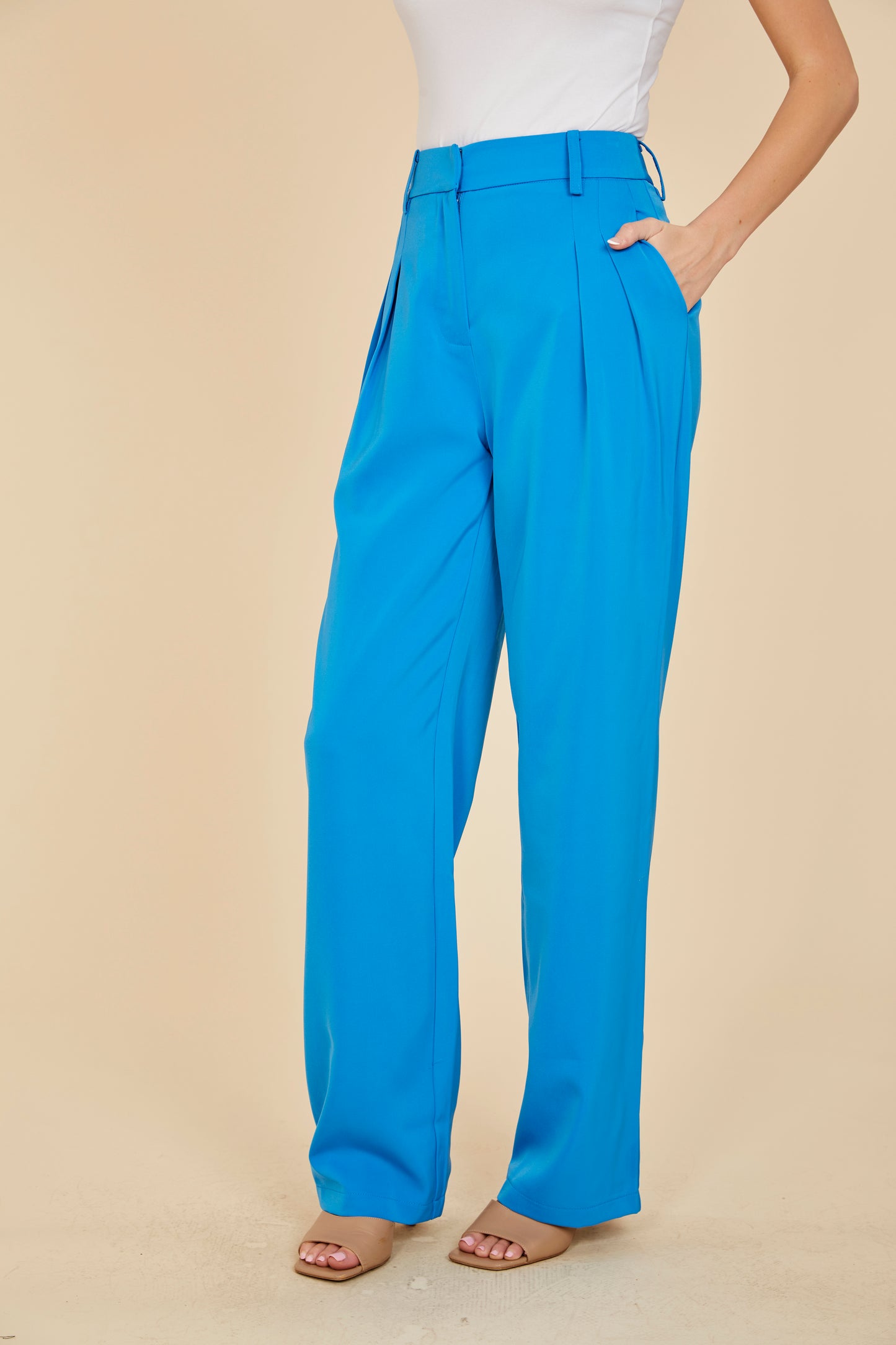High Rise Pleated Wide-Leg Trousers