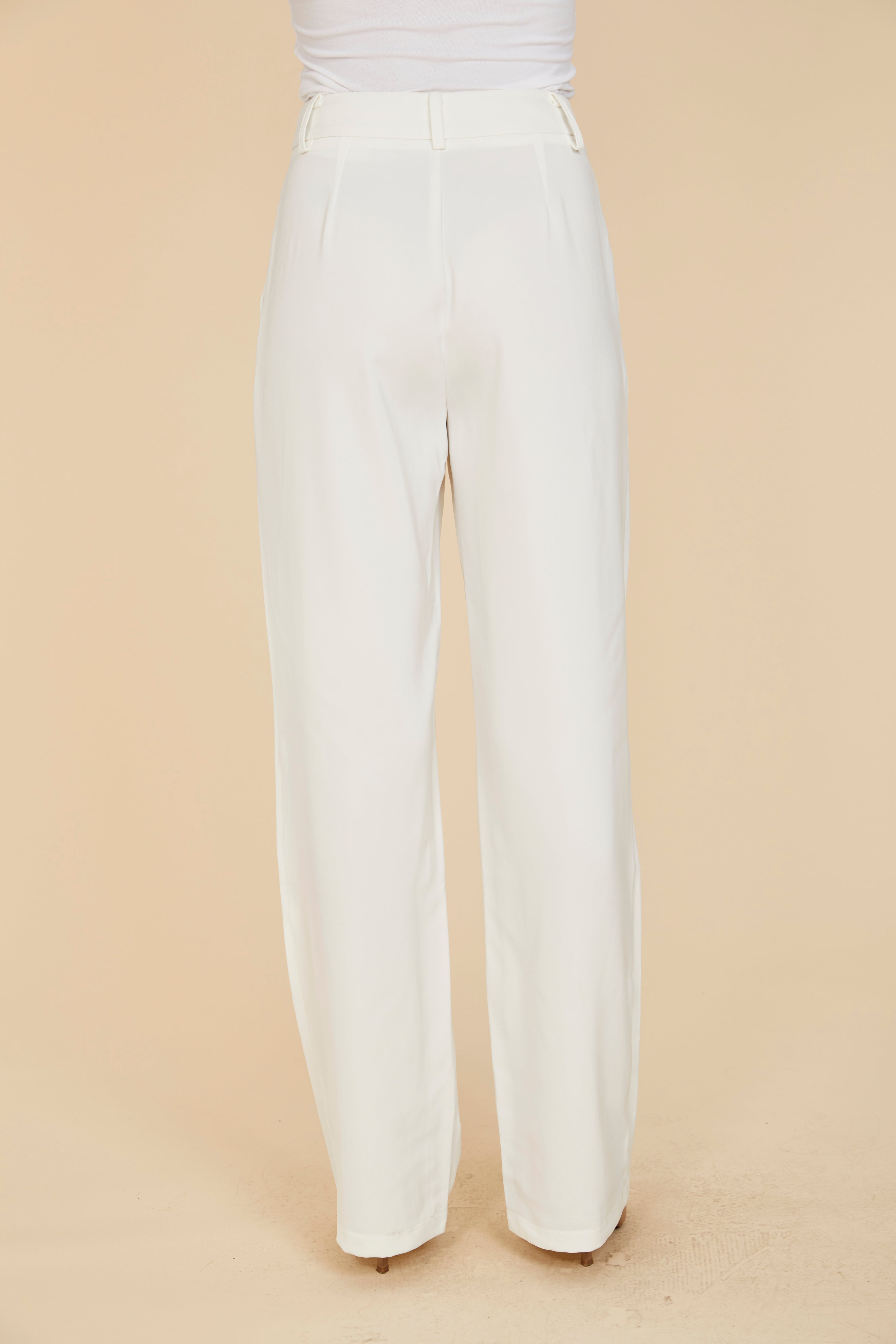 Pleated Wide Leg Trouser