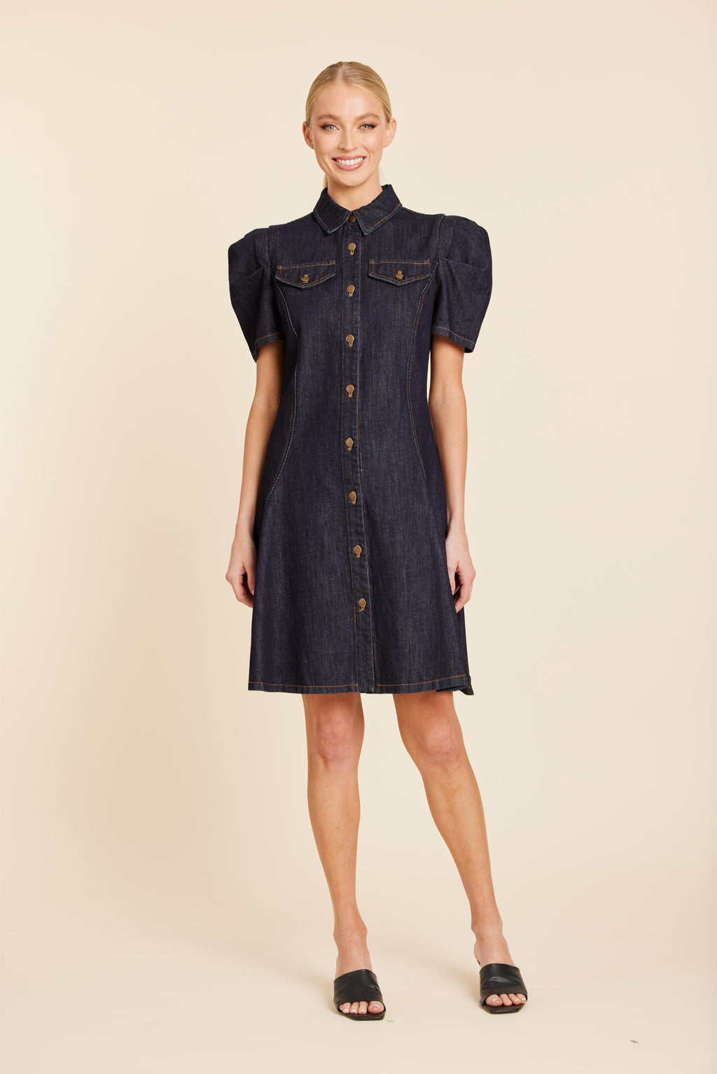 Denim Short Sleeve Dress
