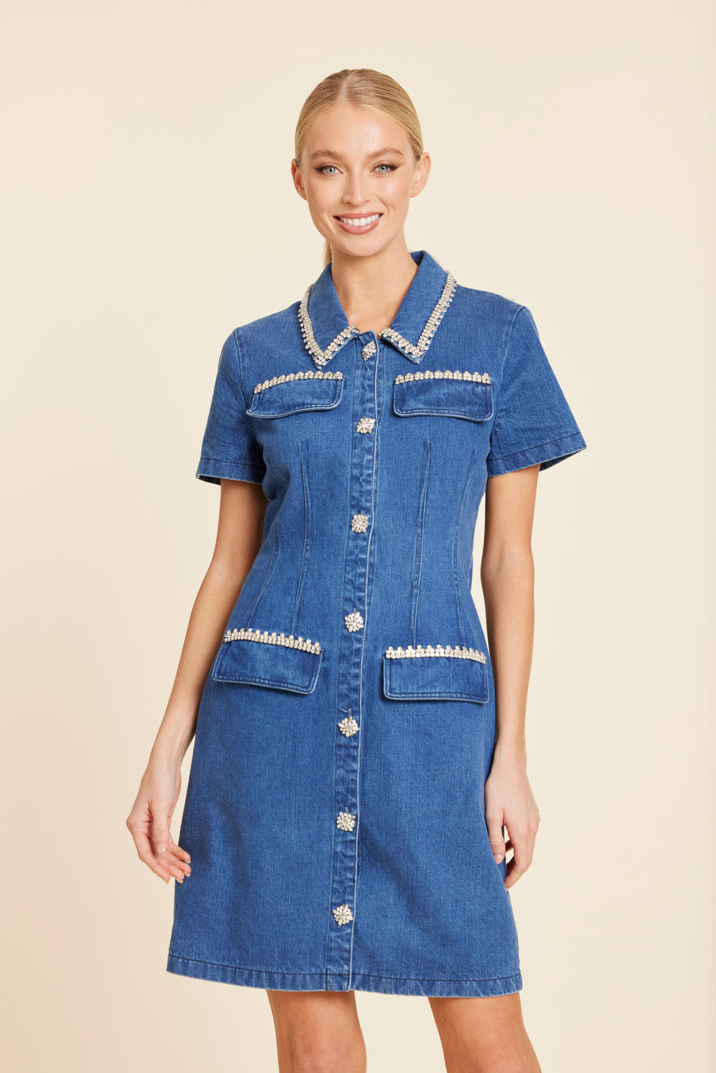 Denim Embelished Collar Dress