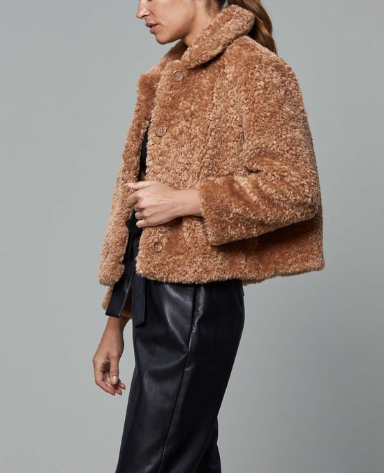 Faux Fur Short Teddy Jacket